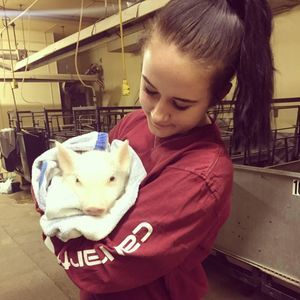 Meet your Posher, Sammi